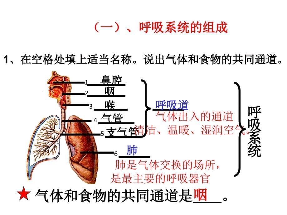 人的生活需要空气课件.ppt_第5页