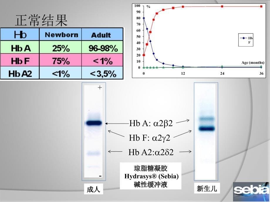 1004658348血红蛋白电泳的意义和判断高级版_第5页