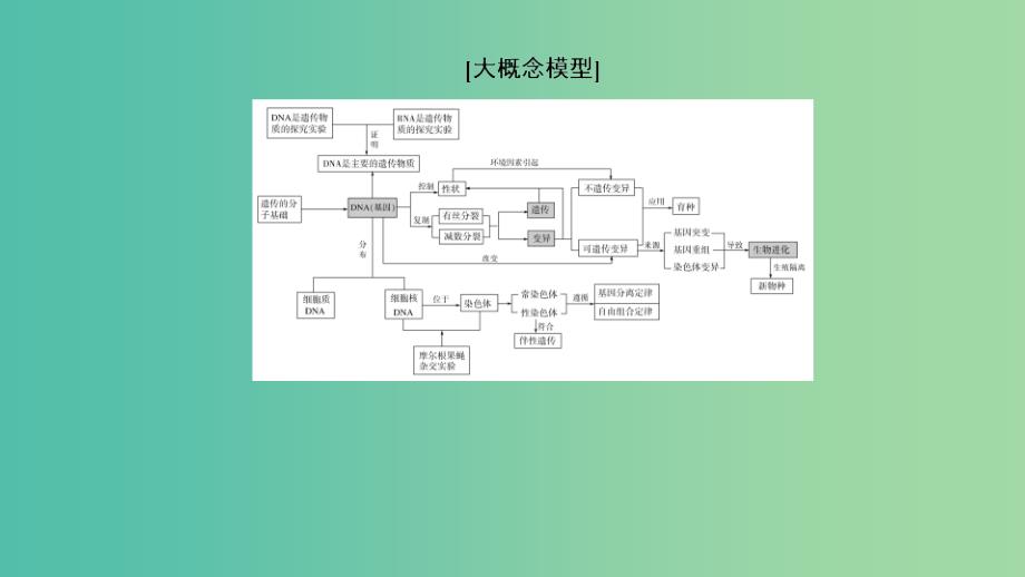 2019年高考生物大二轮复习 第7讲 遗传的分子基础课件.ppt_第3页