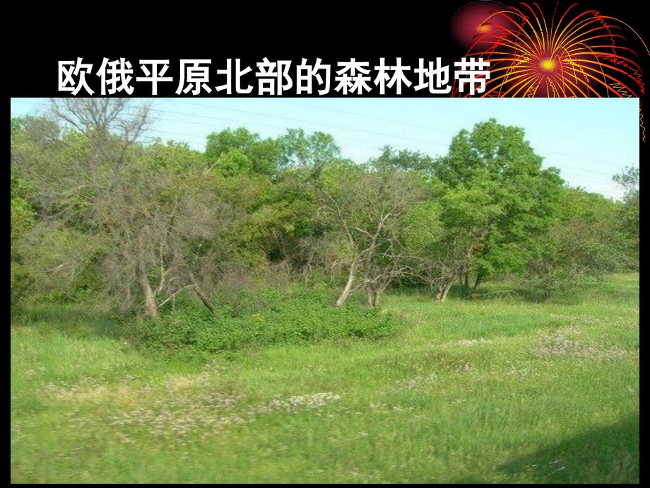 俄罗斯国家与俄罗斯沙皇制度.ppt_第3页