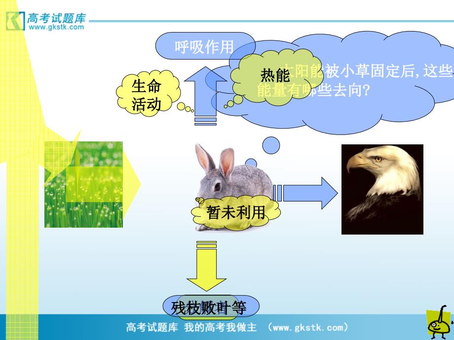 生态环境的稳态课件3苏教版必修3_第3页