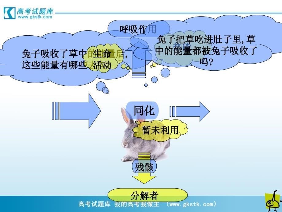 生态环境的稳态课件3苏教版必修3_第5页