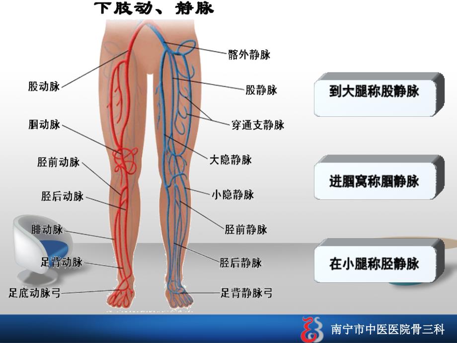 深静脉血栓的护理查房_第3页