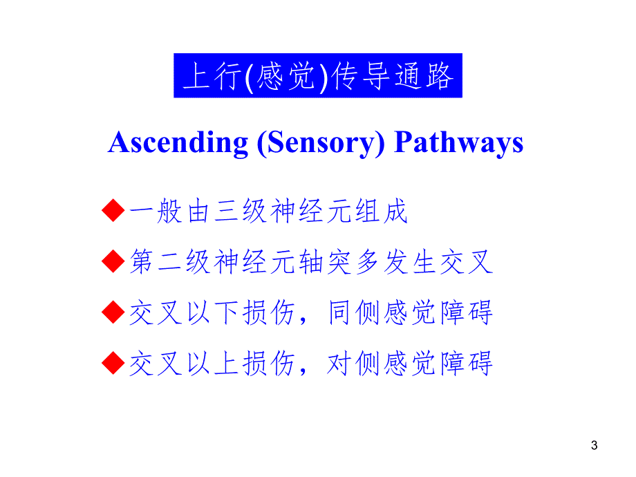 115神经系统传导通路.ppt_第3页