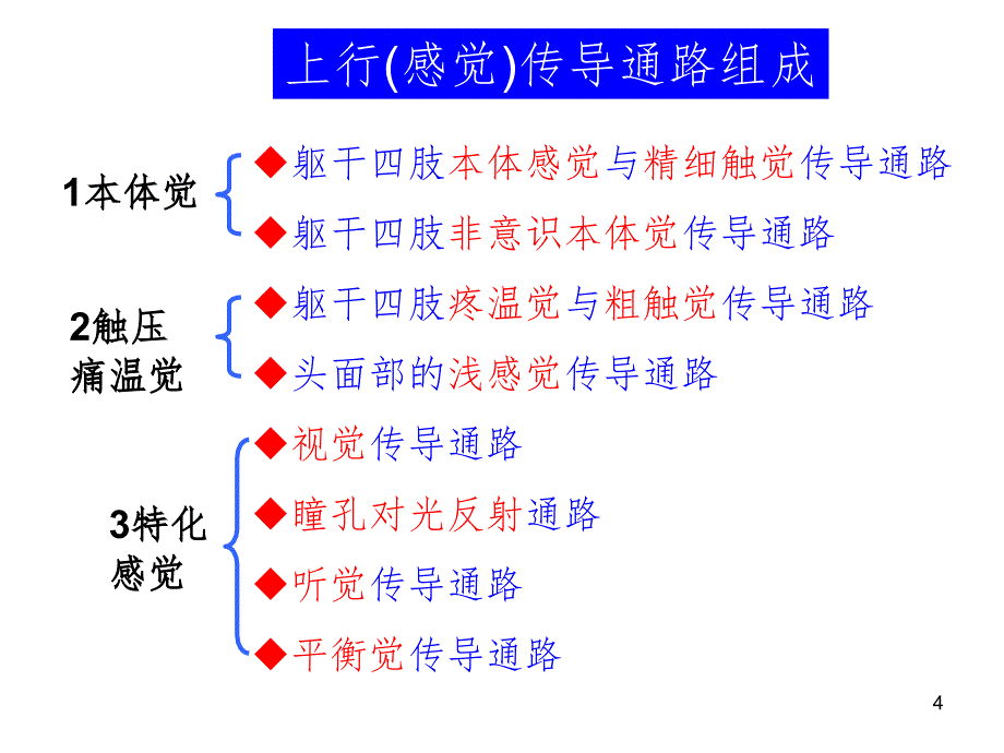 115神经系统传导通路.ppt_第4页