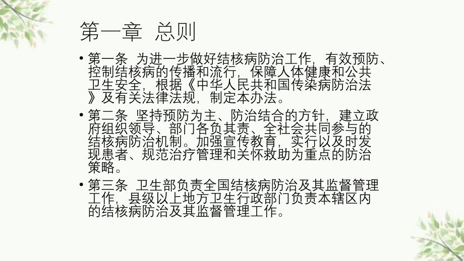 7月结核病防治管理办法ppt课件_第2页