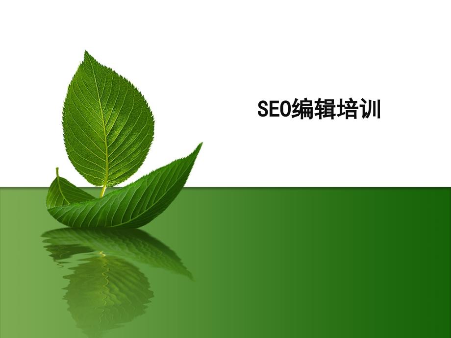 《SEO编辑培训》PPT课件.ppt_第1页