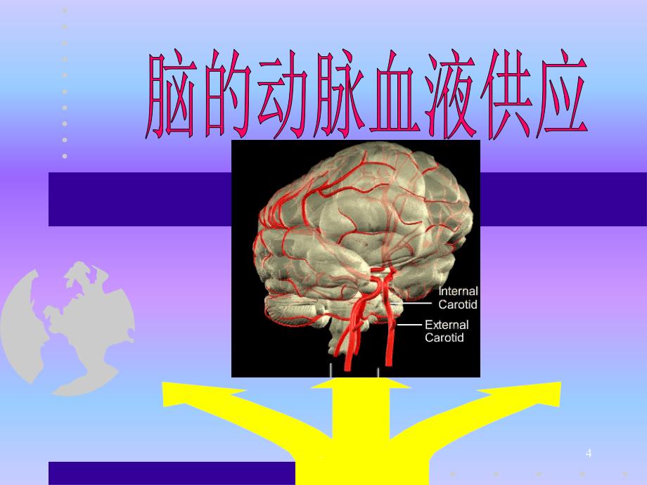 神经内科学PPT医学课件_第4页