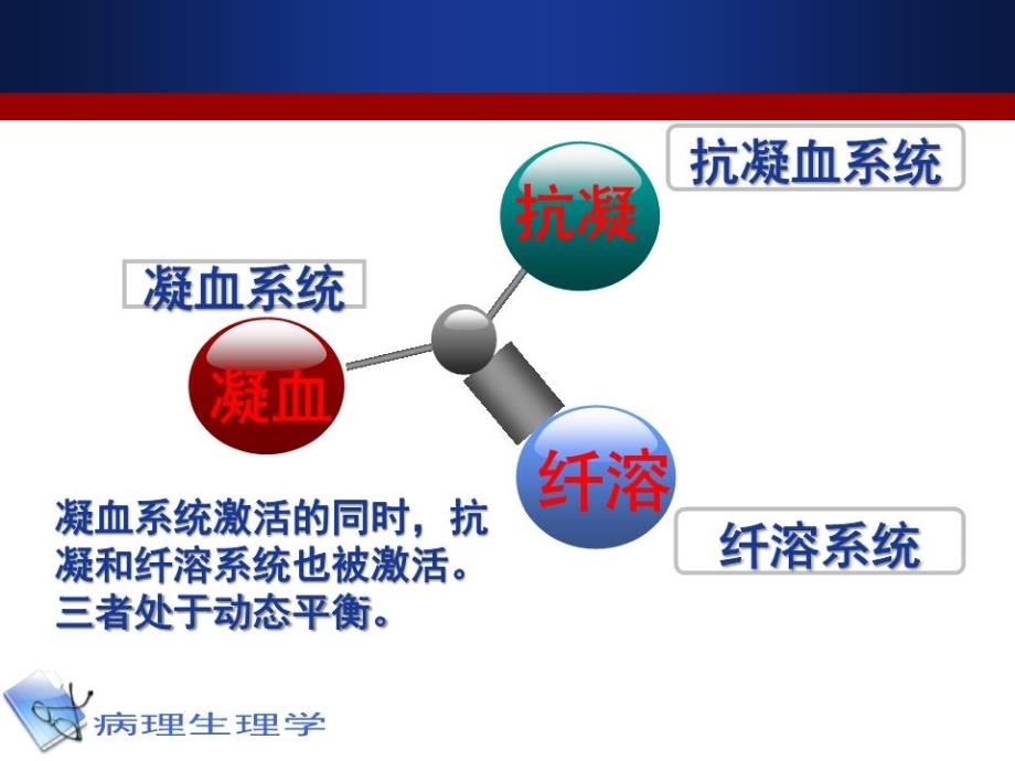 凝血和抗凝血平衡紊乱.ppt_第3页