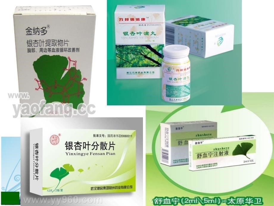 新药研发和注册管理分析课件_第5页