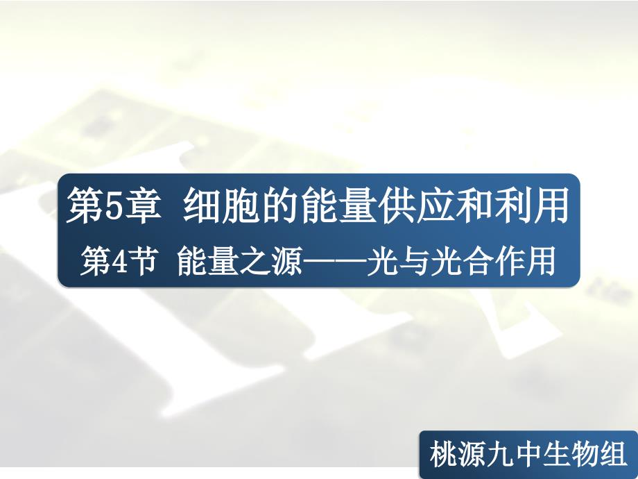 捕获光能的色素和结构_第1页