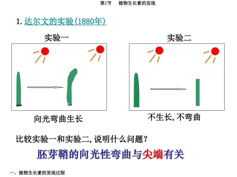 第3章第1节植物生长素的发现1_第5页