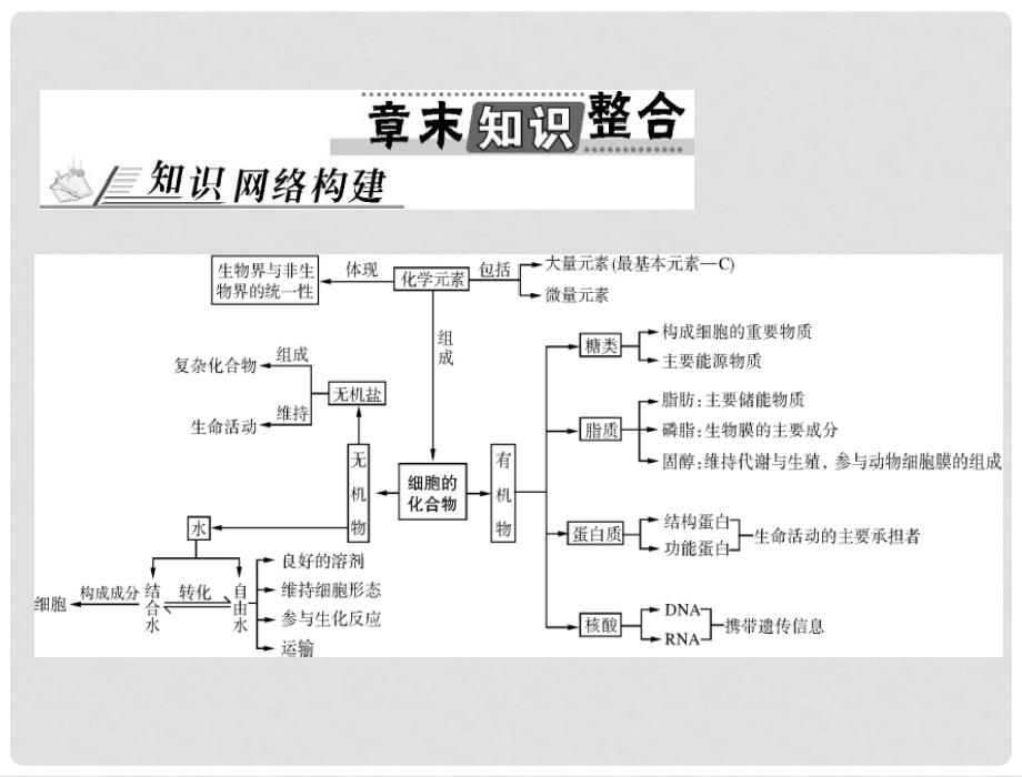 高考生物总复习 第2章 章末知识整合课件 新人教版必修1_第1页