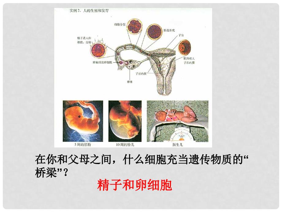 高中生物 1.1 从生物圈到细胞3课件 新人教版必修1_第4页