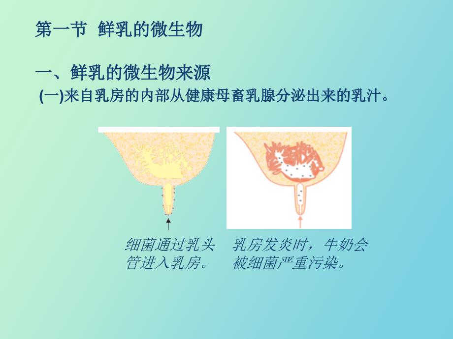 畜牧微生物学第九章乳及蛋的微生物_第2页