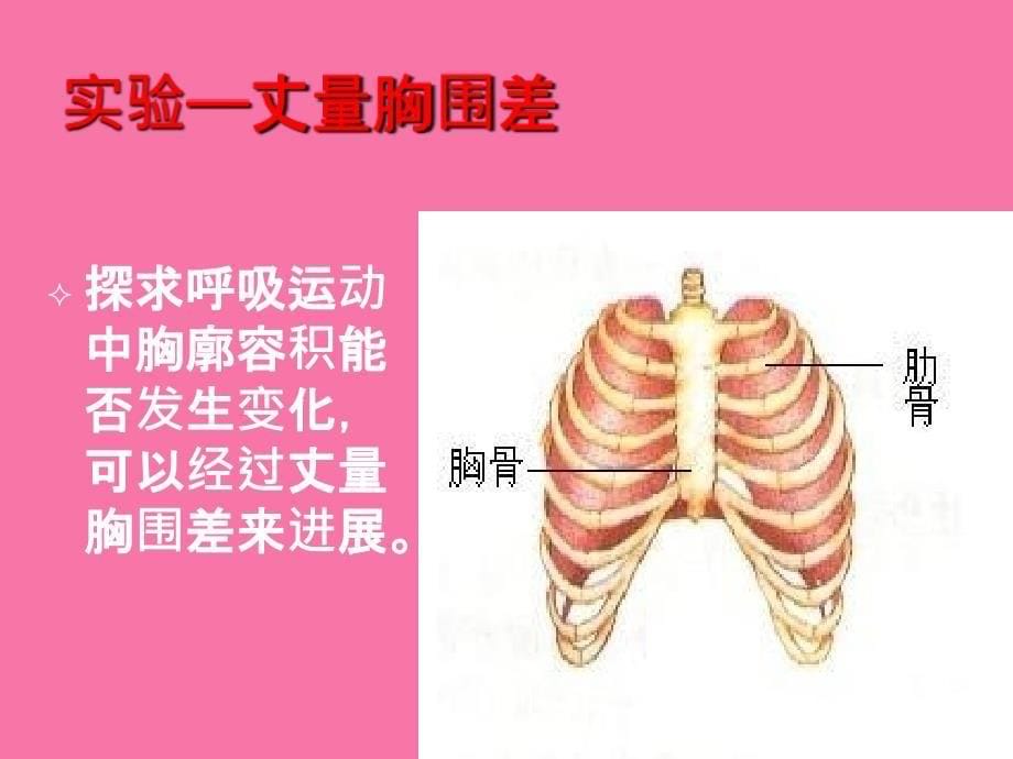 七年级生物下册32发生在肺内的气体交换ppt课件_第5页