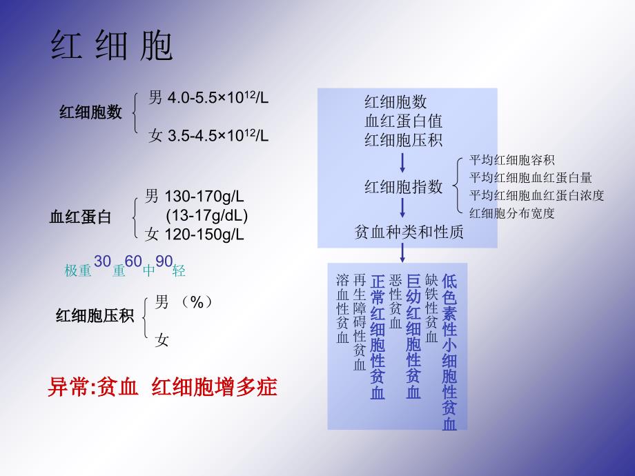 血生化血常规的意义课件_第3页