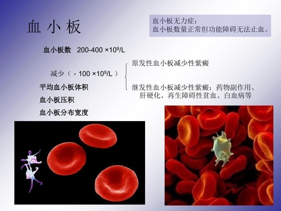 血生化血常规的意义课件_第5页