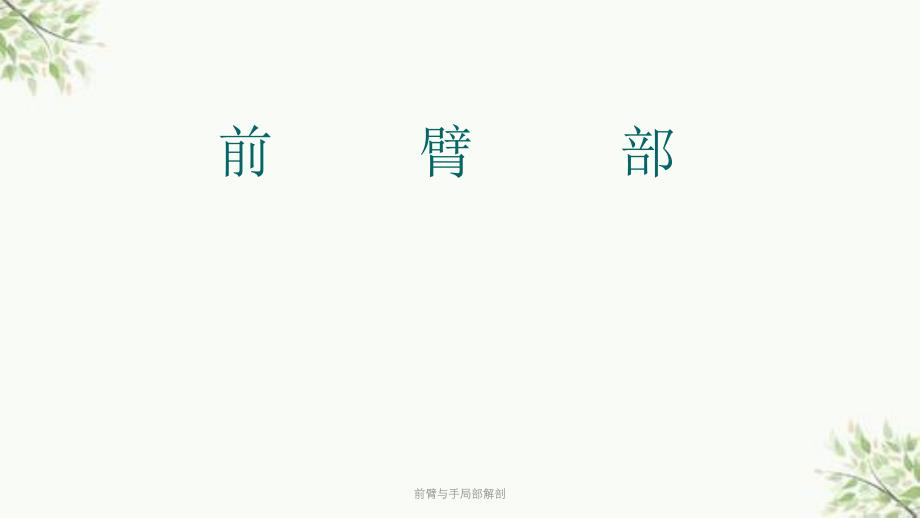 前臂与手局部解剖课件_第1页