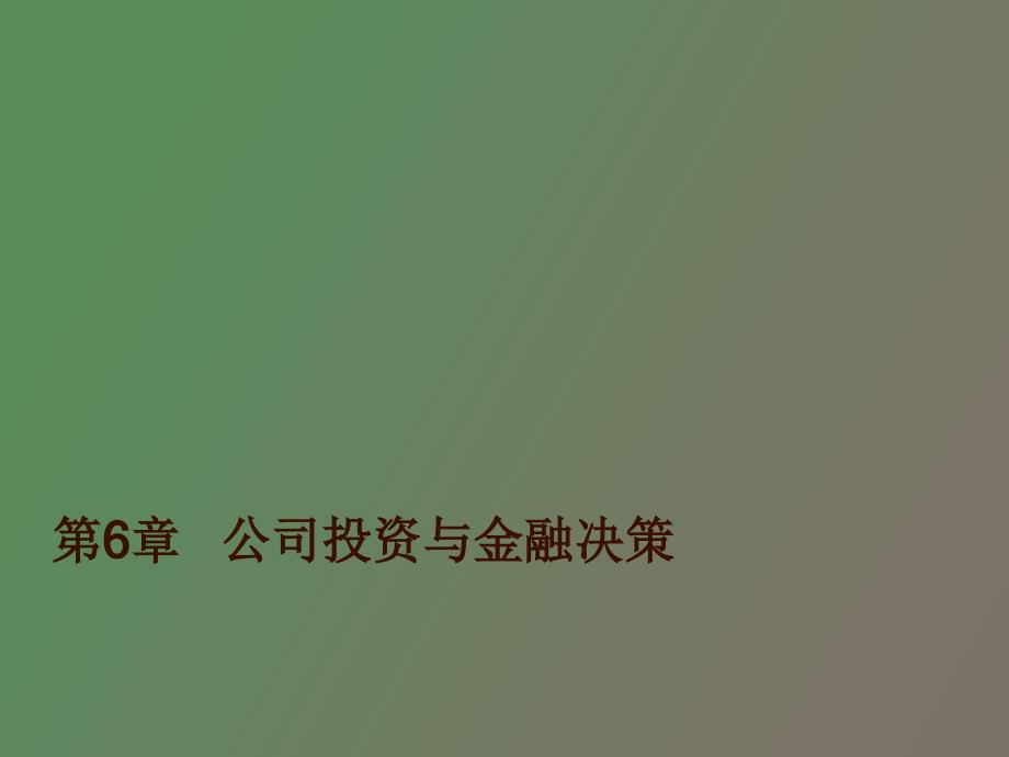 公司投资与金融决策_第1页