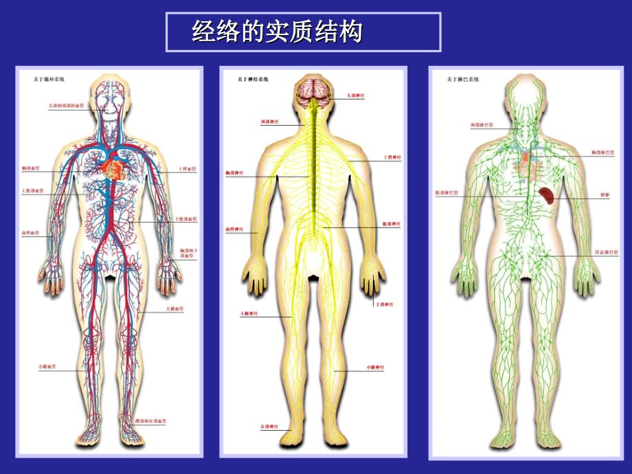 经络穴位养生_第4页