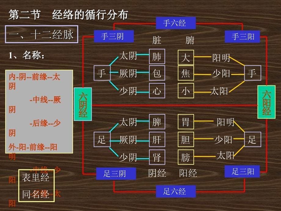 经络穴位养生_第5页