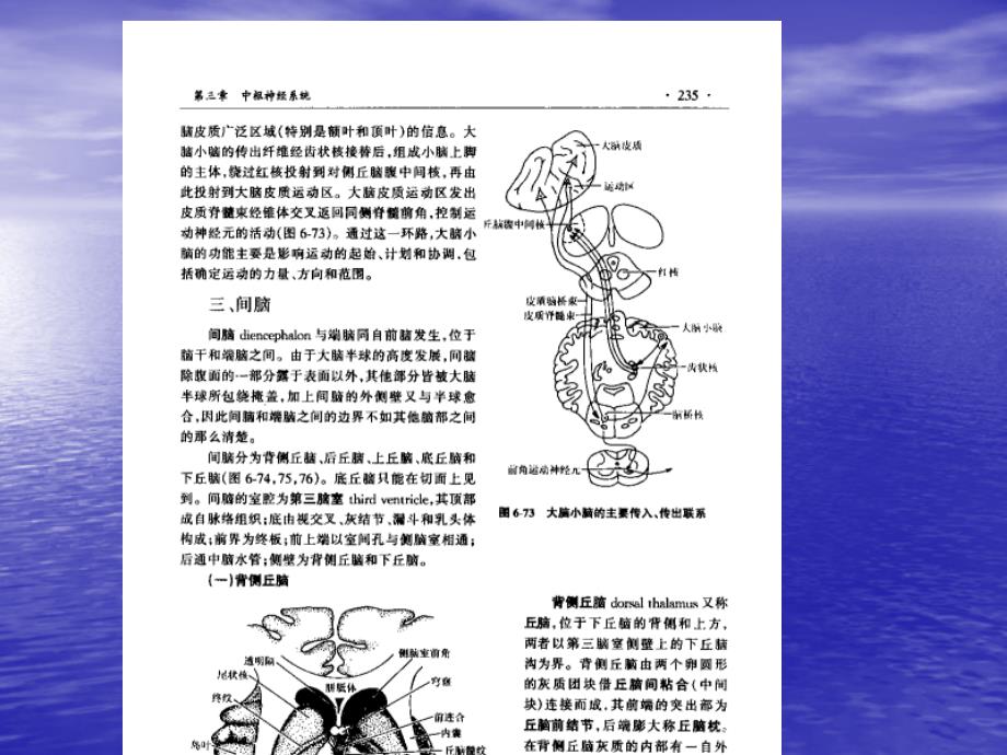 《资料神经外科》PPT课件.ppt_第1页