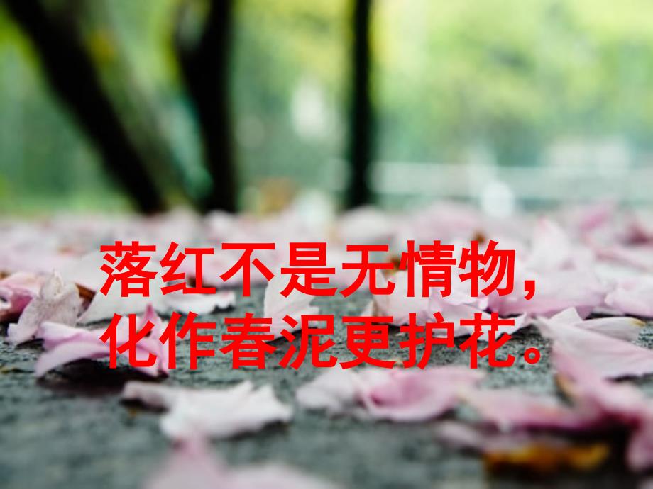 《己亥杂诗》教学课件.ppt_第3页