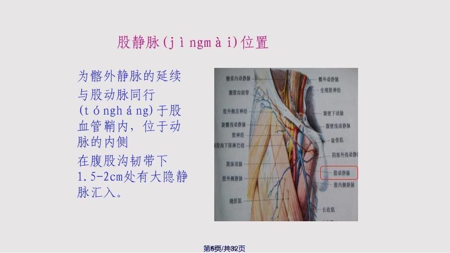 CVC使用原则与维护流程实用实用教案_第5页