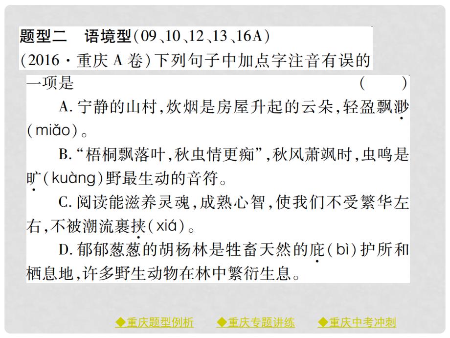 中考语文总复习 第1部分 语文知识及运用 专题1 字音课件_第4页