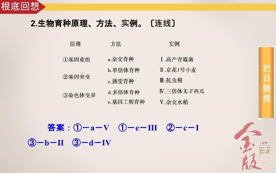 学案25从杂交育种到基因工程ppt课件_第5页