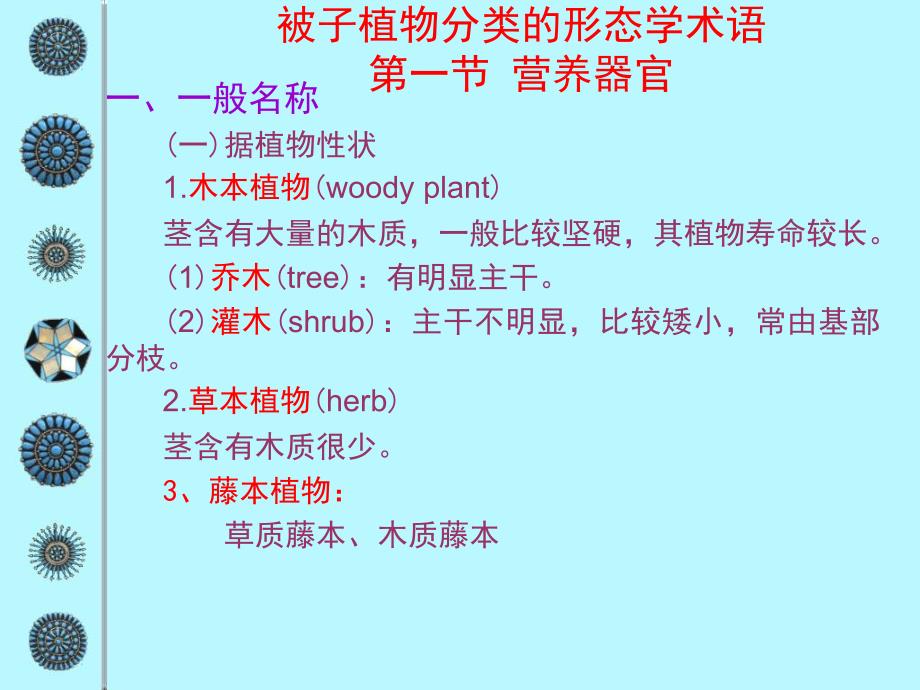 11被子植物分类的形态学术语_第1页