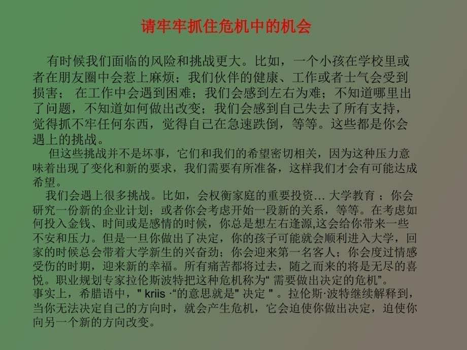 应对挑战实现超越_第5页