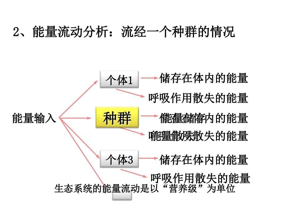 生态系统的能量流动(很好用).ppt_第5页