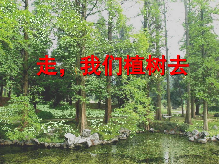 走我们去植树PPT课件_第1页