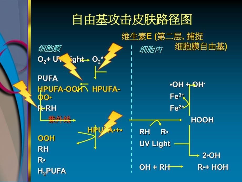 映芙雪的与众不同不只是保养-更是肌肤的营养品(精)课件_第5页