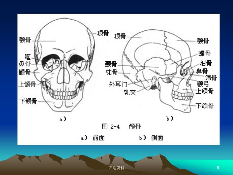 口腔颌面医学CT诊断学（行业荟萃）_第5页