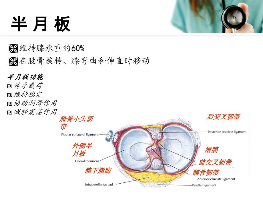 胫骨平台骨折_第4页