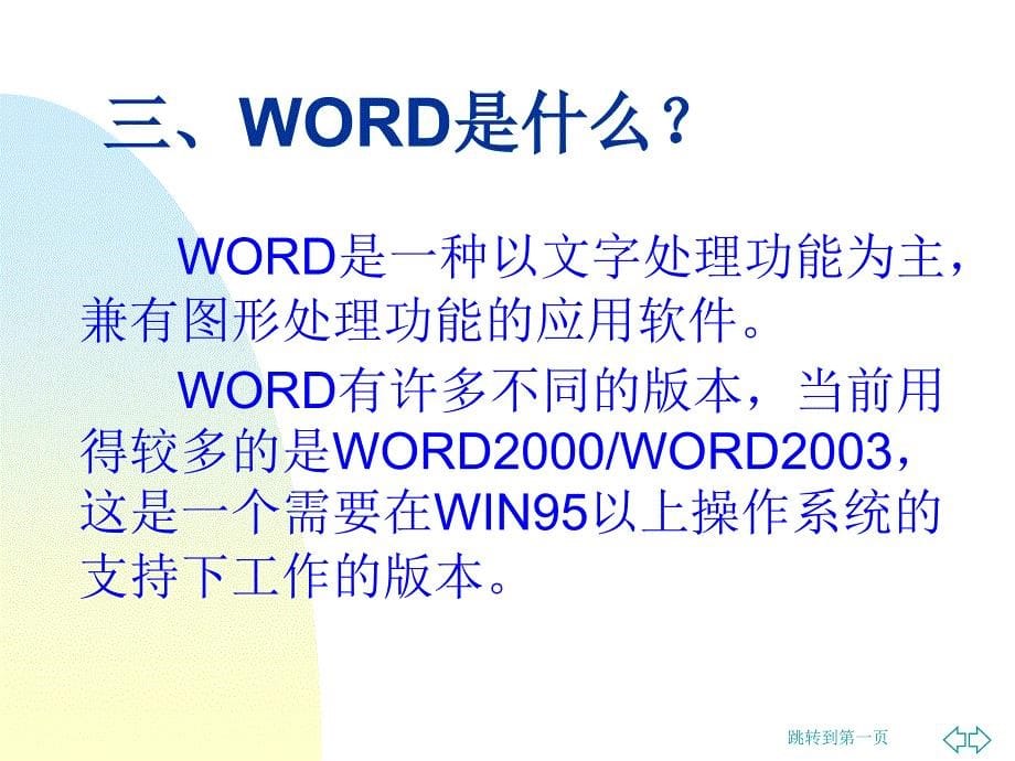 中文Word2003的使用方法_第5页