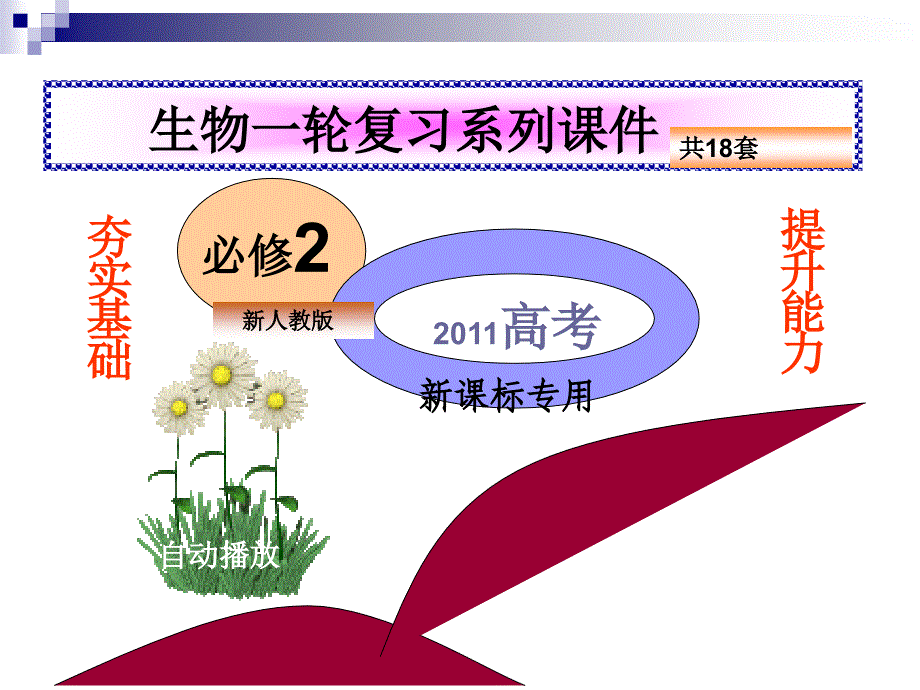 基因与性状的关系_第1页