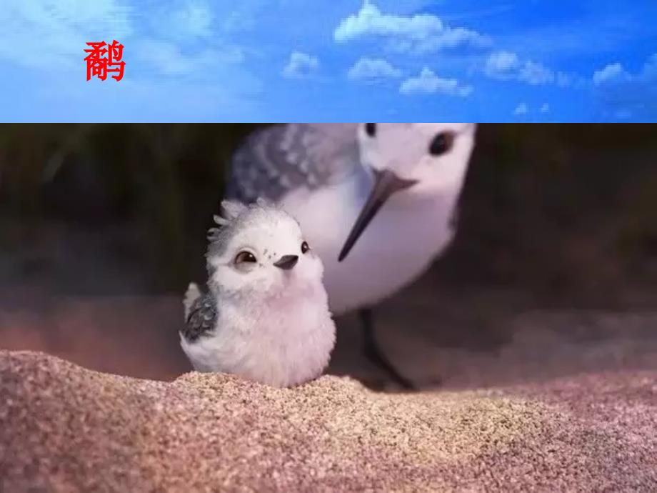 动画短片《鹬》课件_第1页