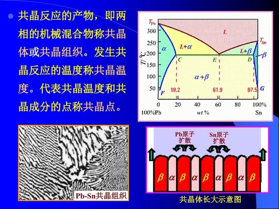 共晶、包晶、共析PPT课件_第5页