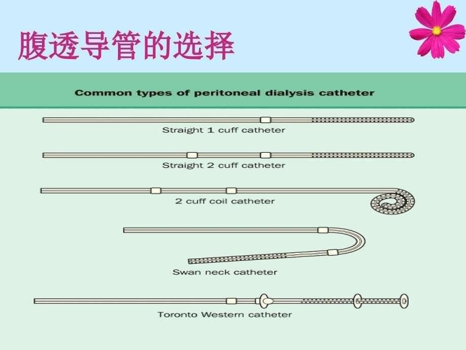 腹膜透析导管护理_第5页