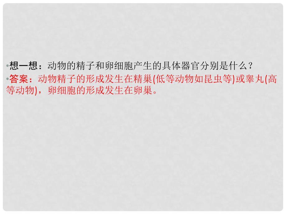 高考生物一轮复习资料 第一单元 第3讲减数分裂和受精作用课件 新人教版必修2_第3页