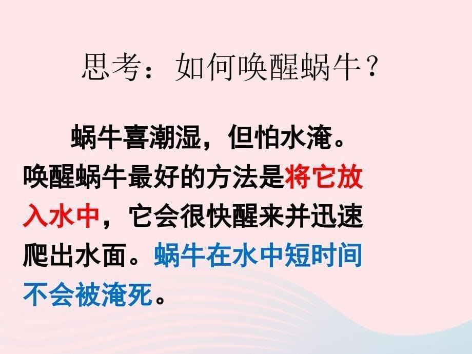 最新三年级科学上册2.3蜗牛二课件1教科版教科版小学三年级上册自然科学课件_第5页