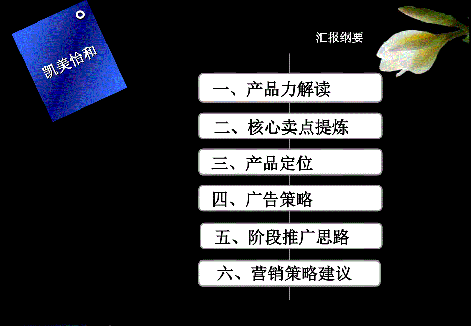 阿美琳堡整合营销推广策略_第2页