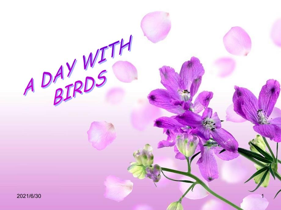 adaywithbirds_第1页