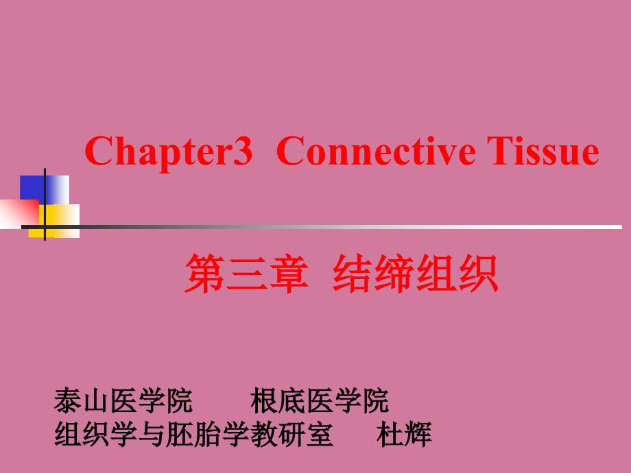 结缔组织软骨和骨ppt课件_第1页