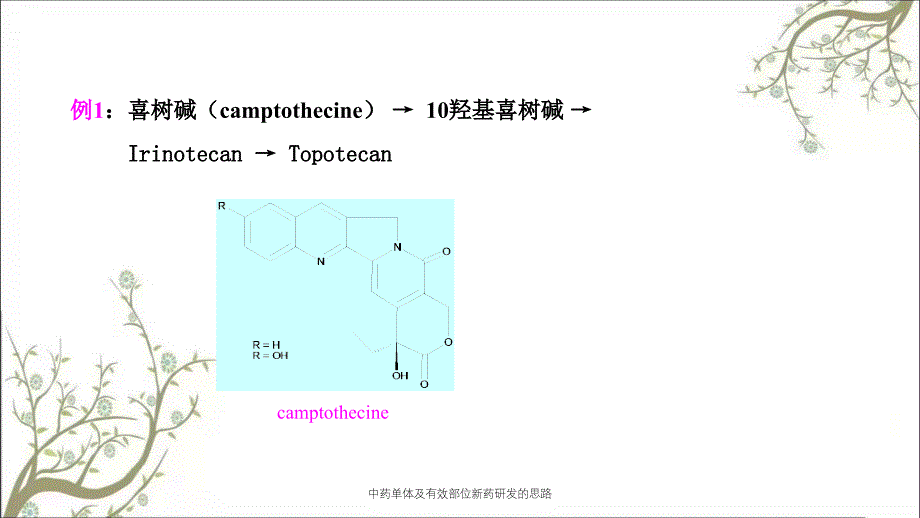 中药单体及有效部位新药研发的思路_第3页