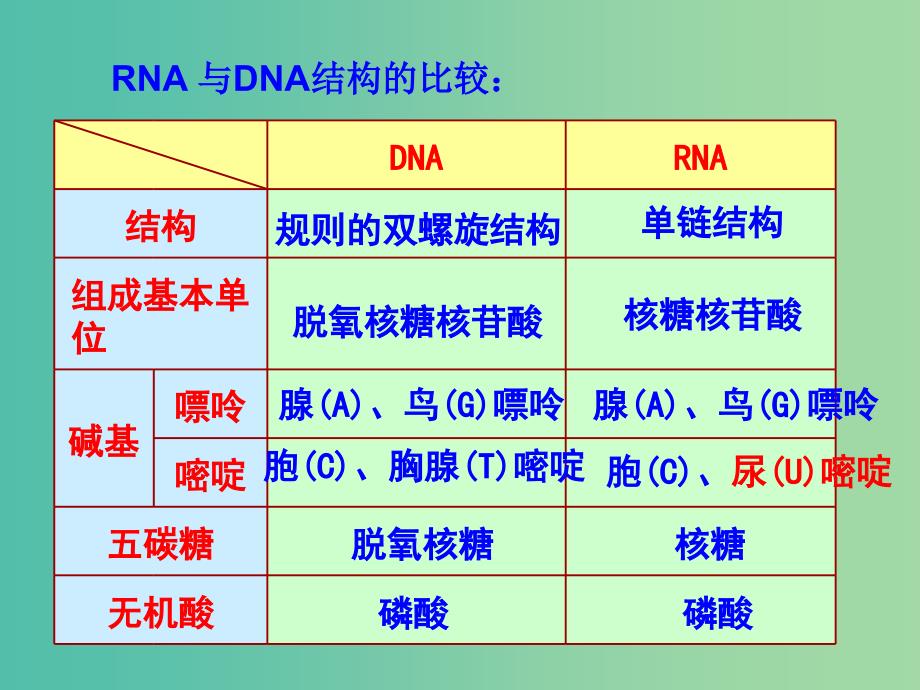 山东省日照市高中生物 第四章 基因的表达 4.1 基因指导蛋白质的合成课件 新人教版必修2.ppt_第2页